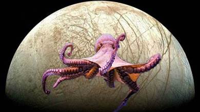 章魚來自外星？太陽系中的木衛二可以證明，這個猜測是否正確