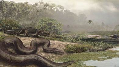 5500萬年前，地球的一次「高燒」，孕育了史上體型最大的蛇