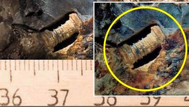科學家在3億年前隕石中發現「鐵螺絲」，揭開了一個史前巔峰時代