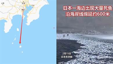 日本海岸突然出現大量死魚，網友：會不會是新一輪地震的前兆？
