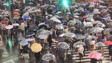 看看日本人為透明傘做過哪些努力，網友：為什麼那麼愛透明傘？