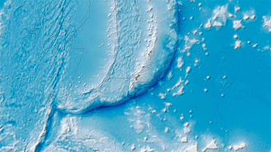 上萬米深的馬里亞納海溝，科學家最不希望看到的東西，出現了，網友：自食惡果