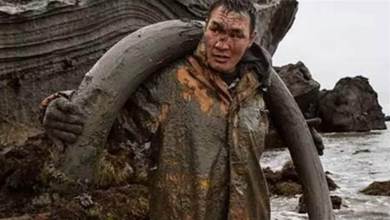 生活在西伯利亞的「挖屍人」：挖到一根賣22萬，許多人年薪過千萬
