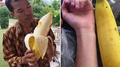 世界上最大的香蕉，一根就重達6斤，比成年人手臂還粗，四個人吃才能吃完
