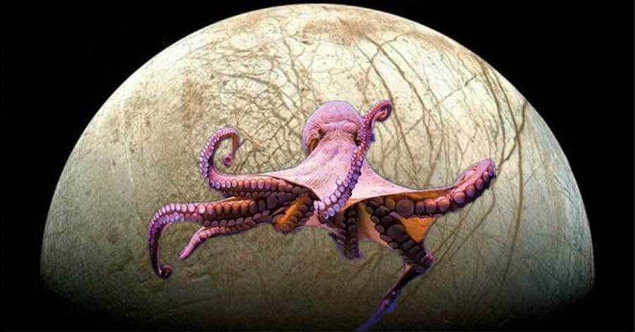 章魚來自外星？太陽系中的木衛二可以證明，這個猜測是否正確