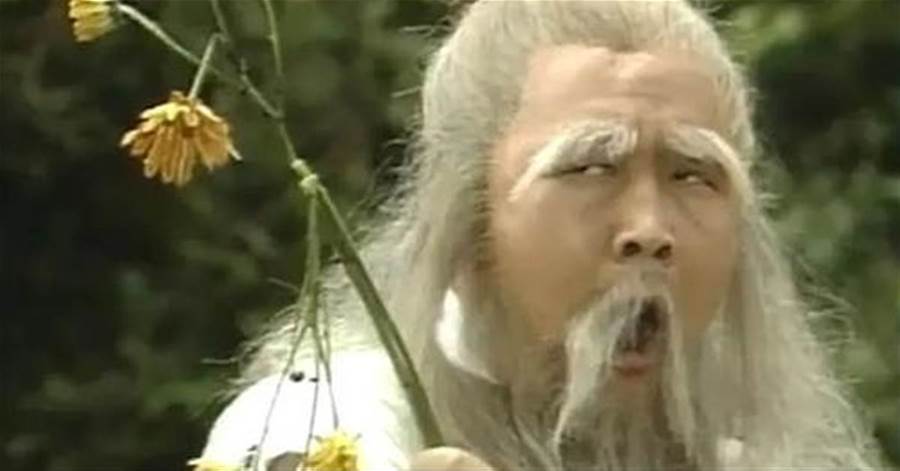 周伯通在《倚天》裡有位徒孫，身懷降龍十八掌，可惜被金庸刪了